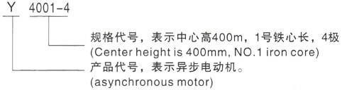 西安泰富西玛Y系列(H355-1000)高压YJTG-160M2-2A/15KW三相异步电机型号说明