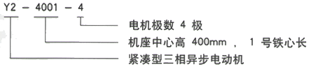 YR系列(H355-1000)高压YJTG-160M2-2A/15KW三相异步电机西安西玛电机型号说明